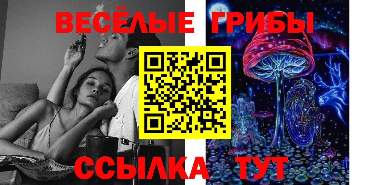 Тулун  Галлюциногенные грибы Magic Shrooms  как найти наркотики  Вход с VPN 